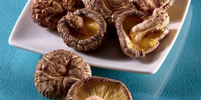 Des champignons Shiitake dans une assiette blanche sur une table bleue